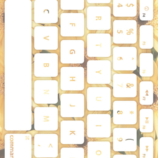 Keyboard bunga putih kekuningan Android SmartPhone Wallpaper