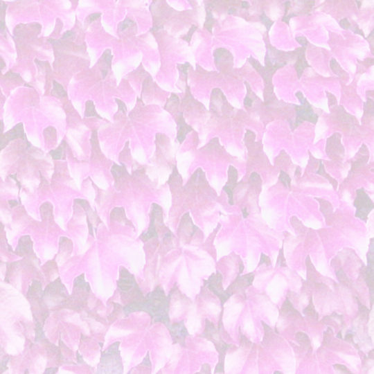 pola daun Berwarna merah muda Android SmartPhone Wallpaper