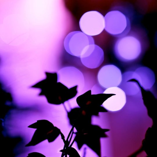 daun alami ungu Android SmartPhone Wallpaper