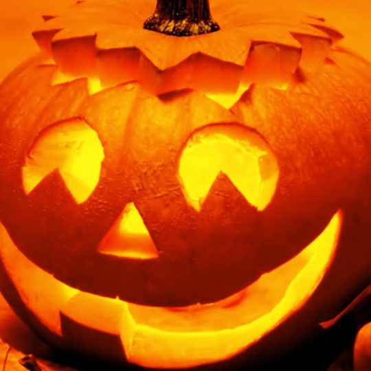 Halloween pumpkin head oranye Android SmartPhone Wallpaper