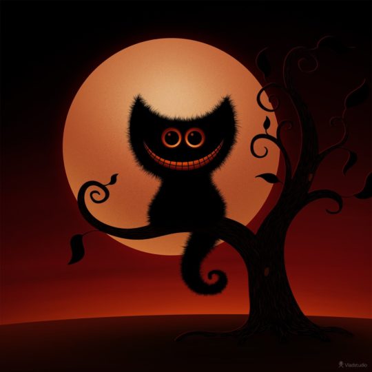 Dark cat Android SmartPhone Wallpaper