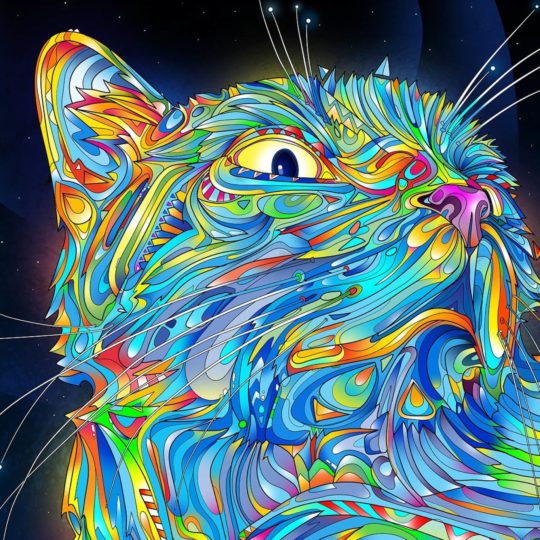 Keren cat biru Android SmartPhone Wallpaper