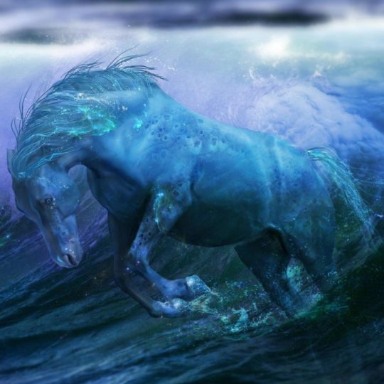 Chara horse biru Android SmartPhone Wallpaper