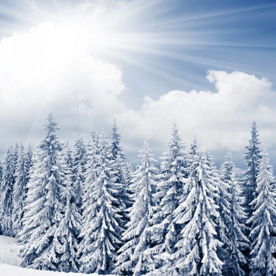 Pemandangan salju mori Android SmartPhone Wallpaper