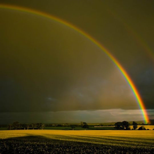 Grassland pemandangan rainbow Android SmartPhone Wallpaper