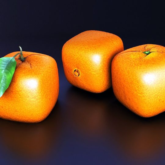 buah mandarin Android SmartPhone Wallpaper