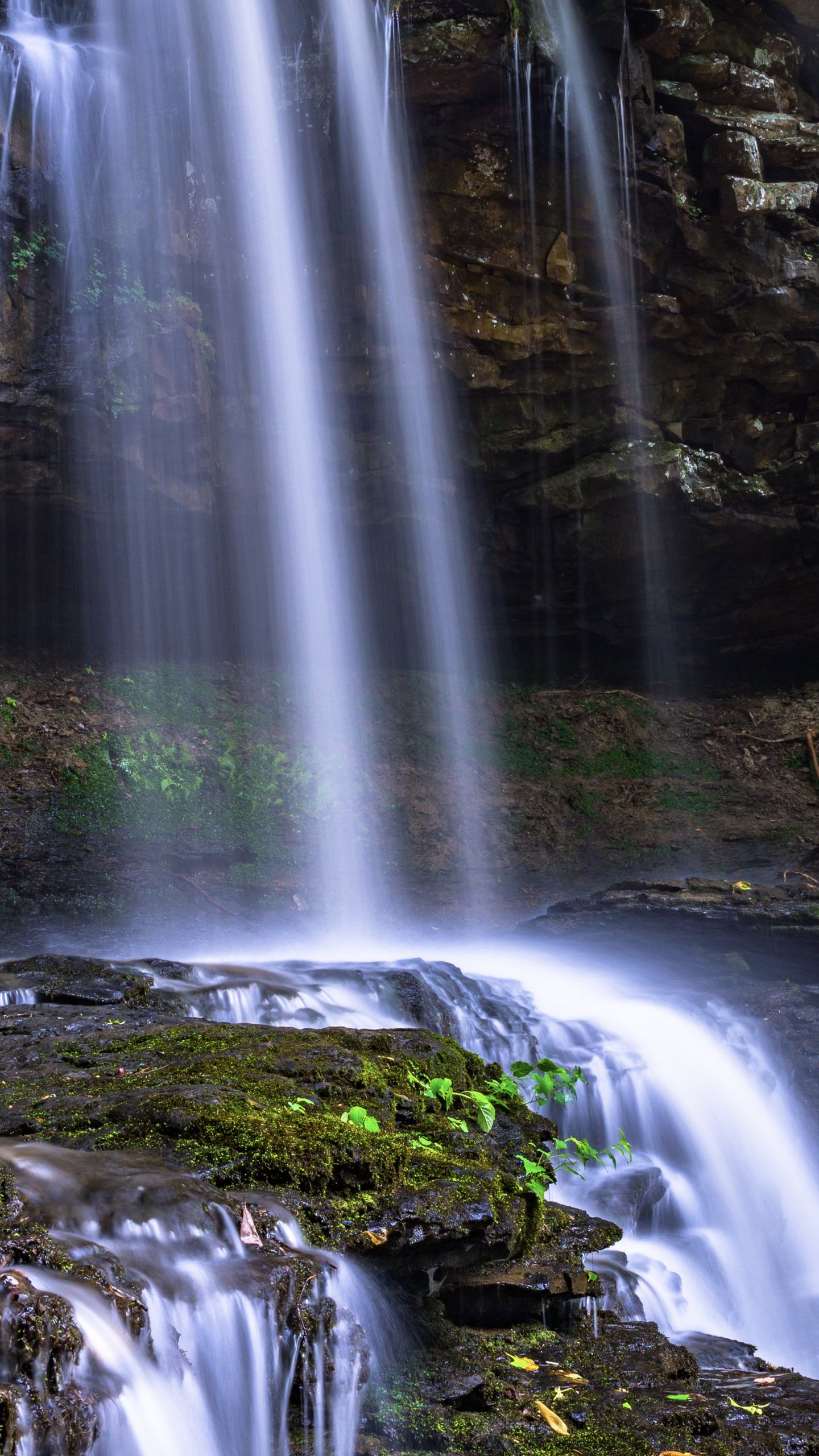 pemandangan terjun | wallpaper.sc Android