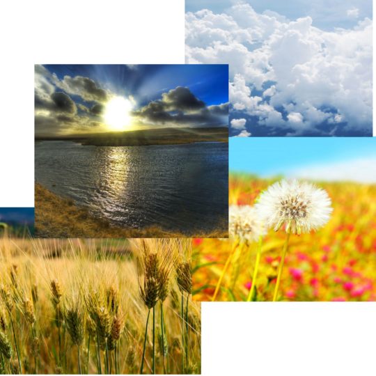 bunga alami mizu mugi langit laut Android SmartPhone Wallpaper