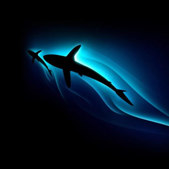 Pola dolphin hewan biru Android SmartPhone Wallpaper