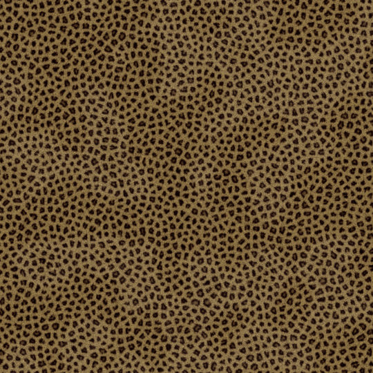 pola Leopard Android SmartPhone Wallpaper