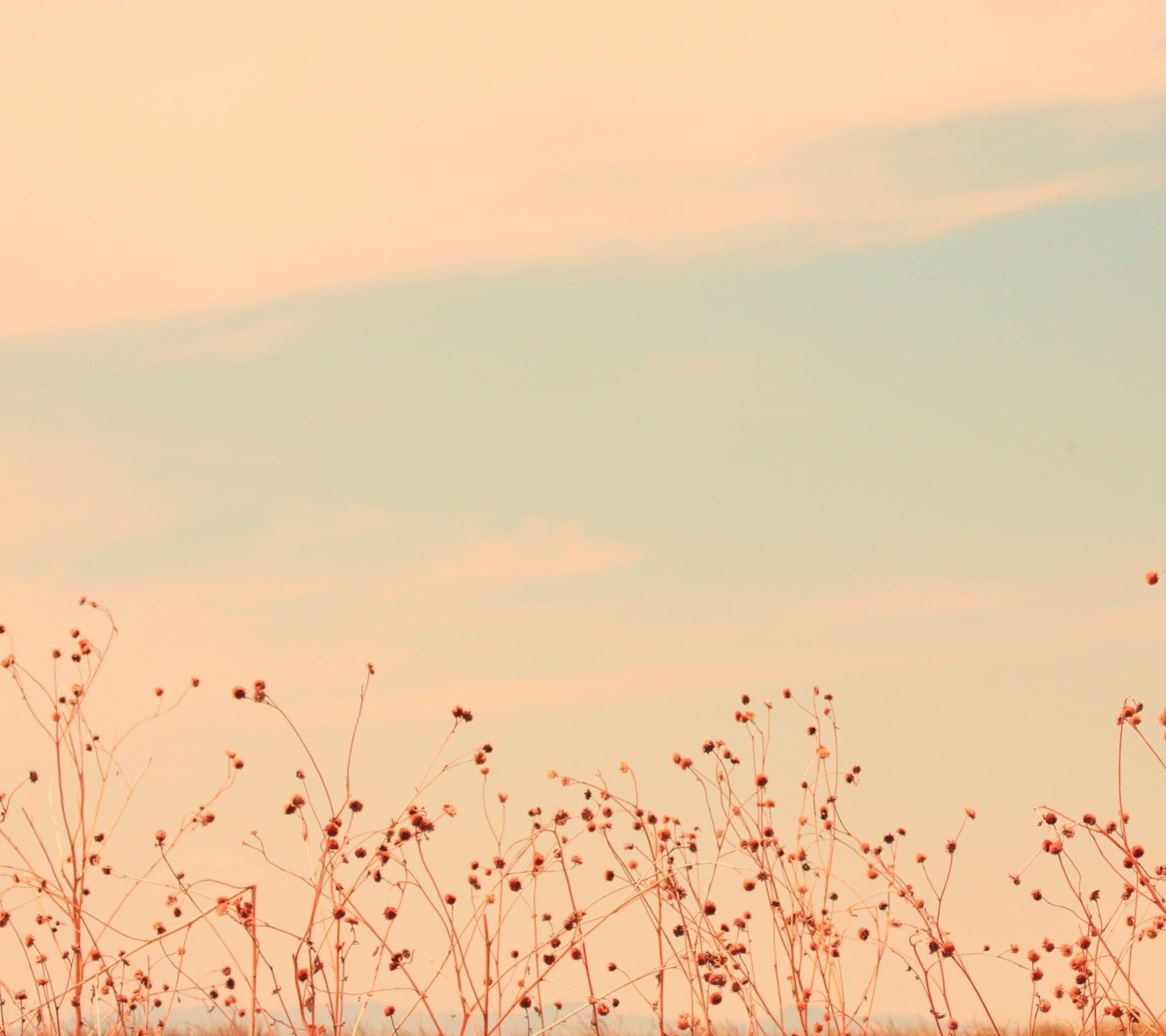 Unduh 8000 Wallpaper Alam Tumblr Gratis Unduh 8000 Wallpaper Alam Tumblr Gratis