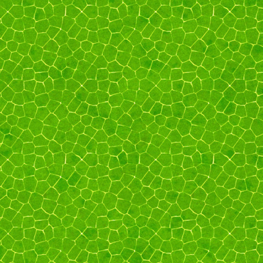 pola hijau Android SmartPhone Wallpaper