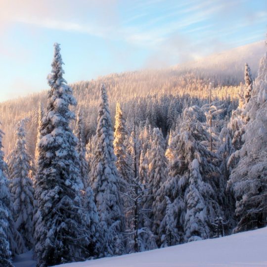 Salju pemandangan gunung putih Android SmartPhone Wallpaper