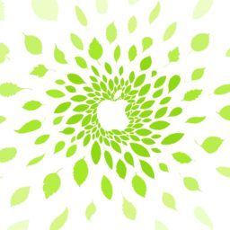 apple logo Omotesando iPad / Air / mini / Pro Wallpaper