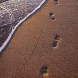 jejak kaki pantai pasir lanskap iPad / Air / mini / Pro Wallpaper