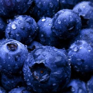 Makanan blueberry iPhone4s Wallpaper