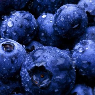 Makanan berry biru iPhone4s Wallpaper