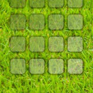 Shelf hijau alami iPhone4s Wallpaper