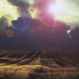 lanskap padang rumput iPhone4s Wallpaper