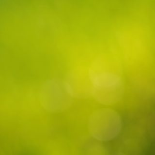 Pola kuning-hijau blur iPhone4s Wallpaper