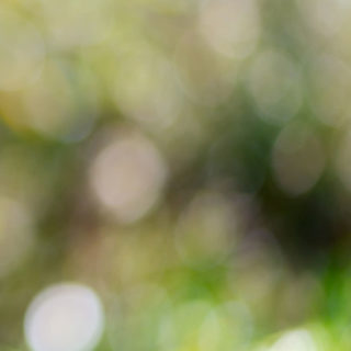 Blur hijau iPhone4s Wallpaper