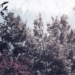 Mt. Fuji Pemandangan iPhone5s / iPhone5c / iPhone5 Wallpaper