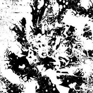 Bunga hitam dan putih iPhone5s / iPhone5c / iPhone5 Wallpaper