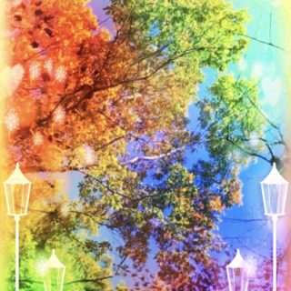 Pohon jalanan berwarna iPhone5s / iPhone5c / iPhone5 Wallpaper