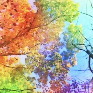 Pohon berwarna iPhone5s / iPhone5c / iPhone5 Wallpaper