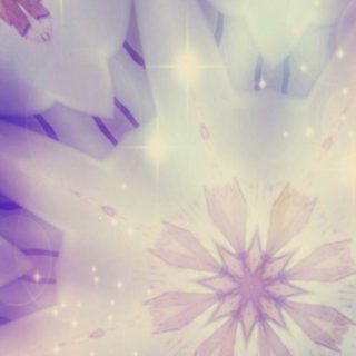 Bunga ungu iPhone5s / iPhone5c / iPhone5 Wallpaper