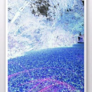 Hutan biru iPhone5s / iPhone5c / iPhone5 Wallpaper
