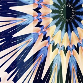 Radiasi bunga iPhone5s / iPhone5c / iPhone5 Wallpaper