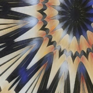 Radiasi bunga iPhone5s / iPhone5c / iPhone5 Wallpaper