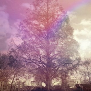Taman pohon iPhone5s / iPhone5c / iPhone5 Wallpaper