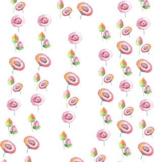 Bunga pink iPhone5s / iPhone5c / iPhone5 Wallpaper