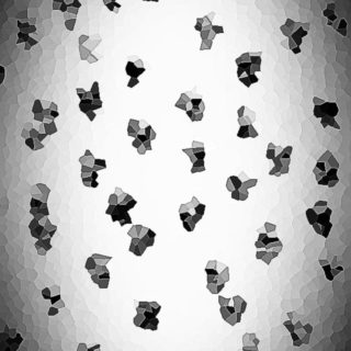 Kubus hitam dan putih iPhone5s / iPhone5c / iPhone5 Wallpaper