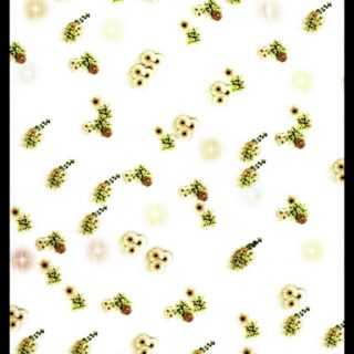 Bingkai bunga iPhone5s / iPhone5c / iPhone5 Wallpaper