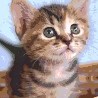 kucing iPhone5s / iPhone5c / iPhone5 Wallpaper