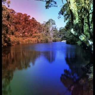 Alam sungai iPhone5s / iPhone5c / iPhone5 Wallpaper