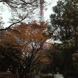 pemandangan Menara Tokyo iPhone5s / iPhone5c / iPhone5 Wallpaper