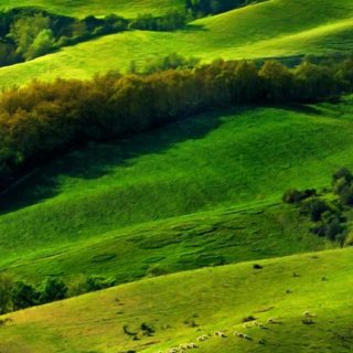 pemandangan hijau padang rumput iPhone5s / iPhone5c / iPhone5 Wallpaper