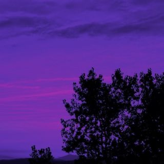 pemandangan ungu iPhone5s / iPhone5c / iPhone5 Wallpaper