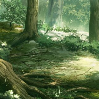 hutan lanskap iPhone5s / iPhone5c / iPhone5 Wallpaper