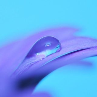 biru ungu alami iPhone5s / iPhone5c / iPhone5 Wallpaper