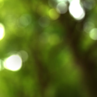 pemandangan Mori hijau iPhone5s / iPhone5c / iPhone5 Wallpaper