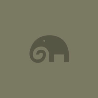 gambar gajah hewan iPhone5s / iPhone5c / iPhone5 Wallpaper