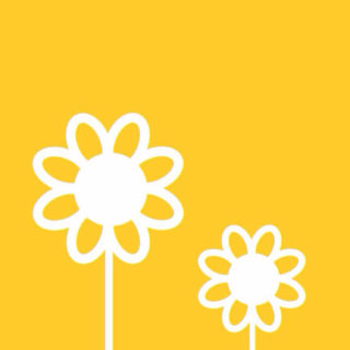 Keren gambar bunga kuning iPhone5s / iPhone5c / iPhone5 Wallpaper
