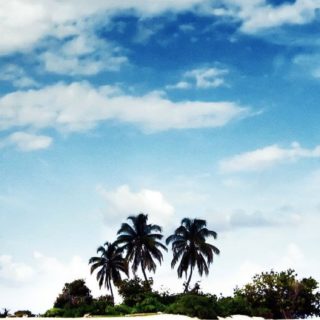 pemandangan Kukai biru iPhone5s / iPhone5c / iPhone5 Wallpaper