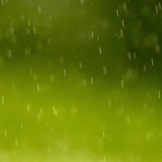 pemandangan Ame blur hijau iPhone5s / iPhone5c / iPhone5 Wallpaper