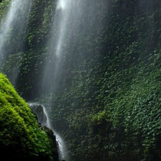 lanskap hutan warna-warni iPhone5s / iPhone5c / iPhone5 Wallpaper